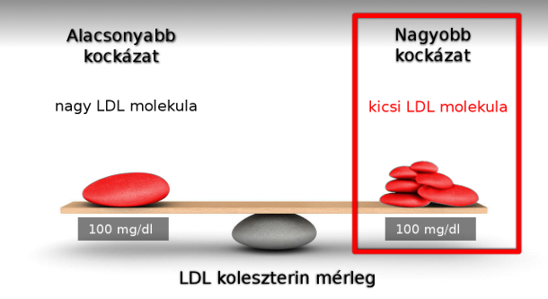 LDL koleszterin mérleg
